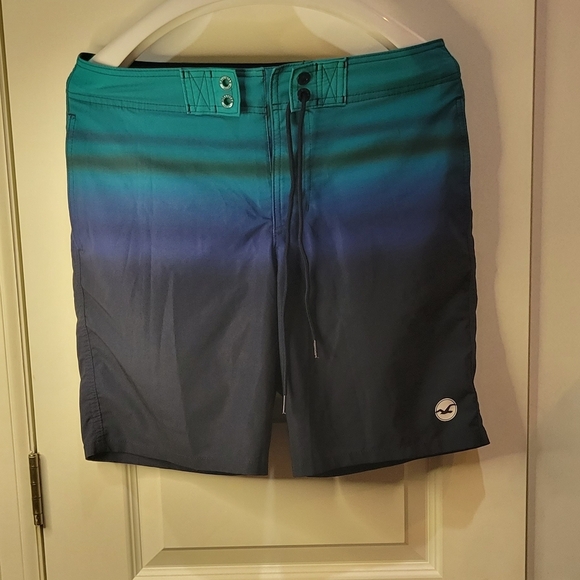 Hollister Mens Swim trunks size 30 - Picture 2 of 10